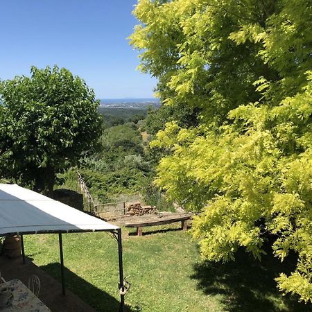 Haus Malerin - Meerblick, Umzaeunter Garten By Toscanatour Guardistallo Εξωτερικό φωτογραφία