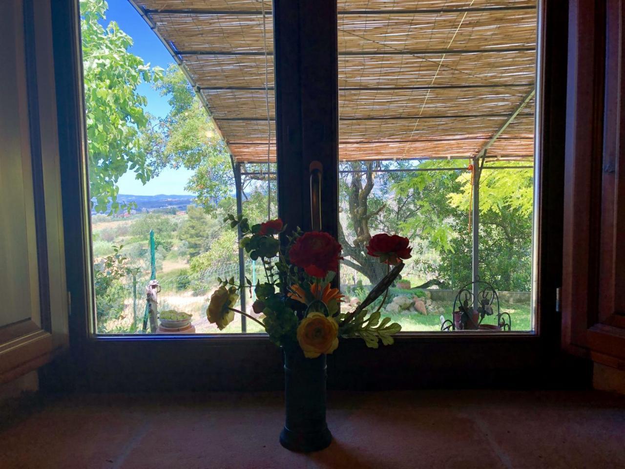 Haus Malerin - Meerblick, Umzaeunter Garten By Toscanatour Guardistallo Εξωτερικό φωτογραφία